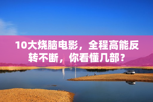 10大烧脑电影，全程高能反转不断，你看懂几部？