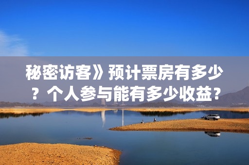 秘密访客》预计票房有多少？个人参与能有多少收益？(秘密访客详细剧情)