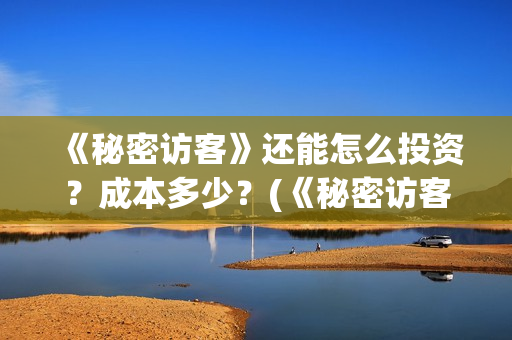 《秘密访客》还能怎么投资？成本多少？(《秘密访客》看不懂)
