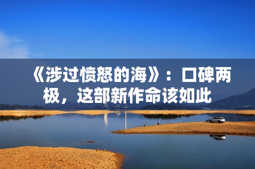 《涉过愤怒的海》：口碑两极，这部新作命该如此