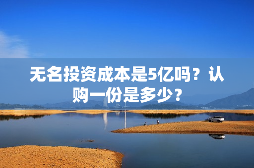 无名投资成本是5亿吗？认购一份是多少？