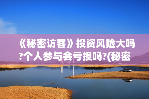《秘密访客》投资风险大吗?个人参与会亏损吗?(秘密访客2021hdtc最新)