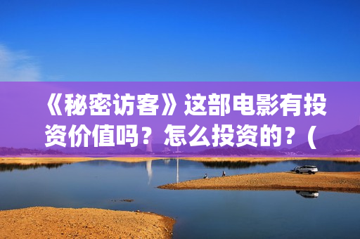 《秘密访客》这部电影有投资价值吗？怎么投资的？(秘密访客到底演了个啥)