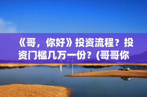 《哥，你好》投资流程？投资门槛几万一份？(哥哥你好语音)