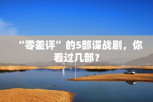 “零差评”的5部谍战剧，你看过几部？