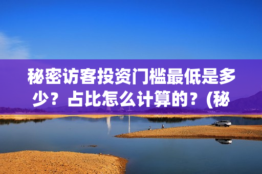 秘密访客投资门槛最低是多少？占比怎么计算的？(秘密访客总投资)