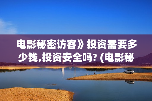 电影秘密访客》投资需要多少钱,投资安全吗? (电影秘密访客的内容简介)