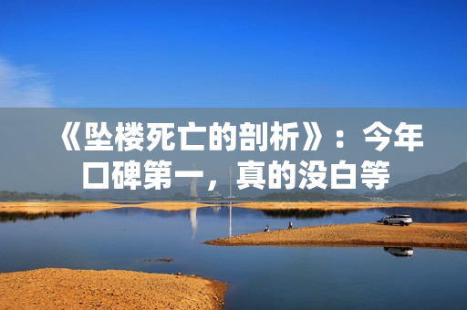 《坠楼死亡的剖析》：今年口碑第一，真的没白等