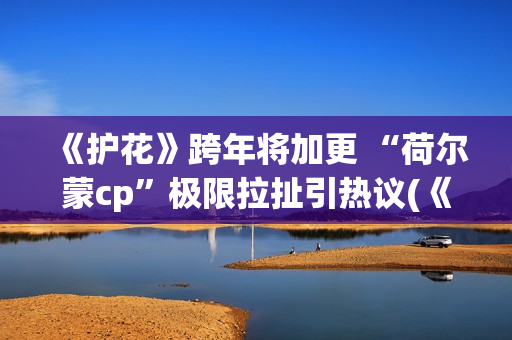 《护花》跨年将加更 “荷尔蒙cp”极限拉扯引热议(《护花使者》演唱视频)