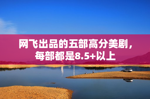 网飞出品的五部高分美剧，每部都是8.5+以上