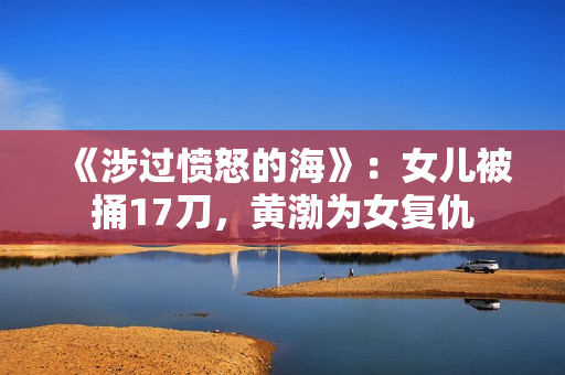 《涉过愤怒的海》：女儿被捅17刀，黄渤为女复仇