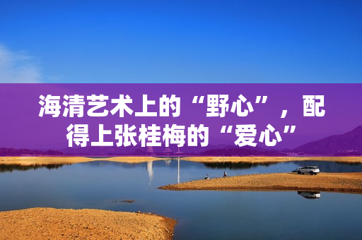 海清艺术上的“野心”，配得上张桂梅的“爱心”