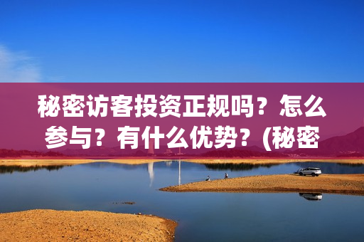秘密访客投资正规吗？怎么参与？有什么优势？(秘密访客自首)
