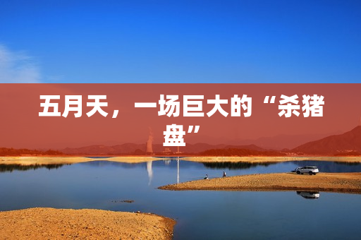 五月天，一场巨大的“杀猪盘”