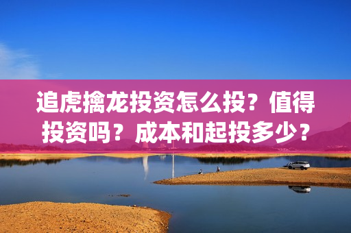 追虎擒龙投资怎么投？值得投资吗？成本和起投多少？(追虎擒龙算投资失败了吗)