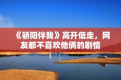 《骄阳伴我》高开低走，网友都不喜欢他俩的剧情