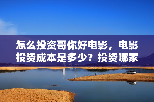 怎么投资哥你好电影，电影投资成本是多少？投资哪家出品方的份额？