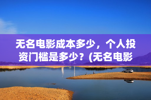 无名电影成本多少，个人投资门槛是多少？(无名电影导演)