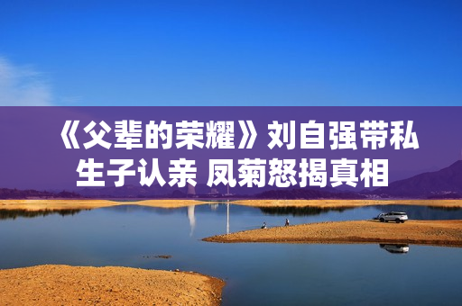 《父辈的荣耀》刘自强带私生子认亲 凤菊怒揭真相