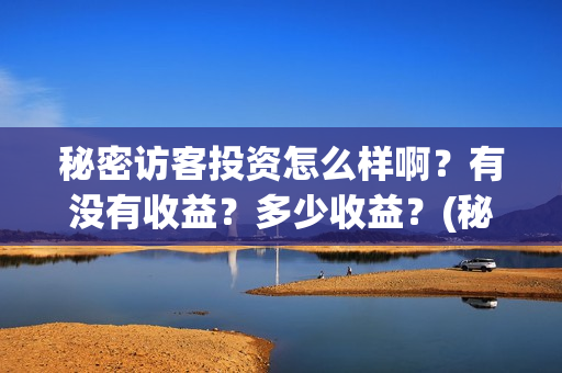 秘密访客投资怎么样啊？有没有收益？多少收益？(秘密访客成本)