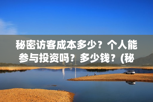 秘密访客成本多少？个人能参与投资吗？多少钱？(秘密访客总投资多少)