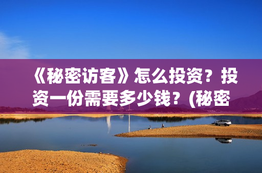 《秘密访客》怎么投资？投资一份需要多少钱？(秘密访客在讲啥)