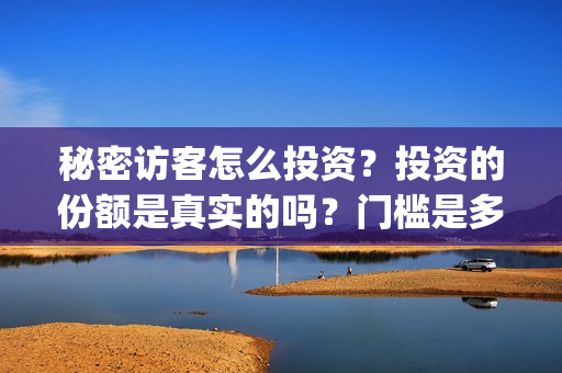 秘密访客怎么投资？投资的份额是真实的吗？门槛是多少？(秘密访客访客)