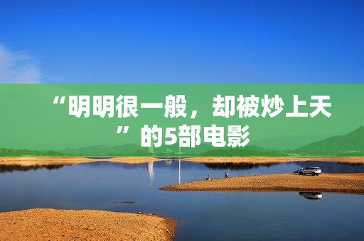 “明明很一般，却被炒上天”的5部电影