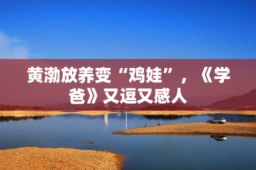 黄渤放养变“鸡娃”，《学爸》又逗又感人