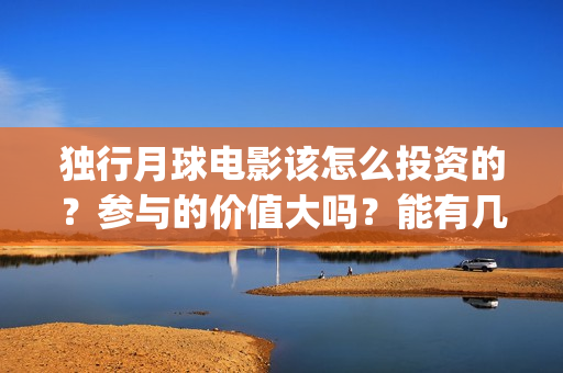 独行月球电影该怎么投资的？参与的价值大吗？能有几倍的收益(《独行月球》)