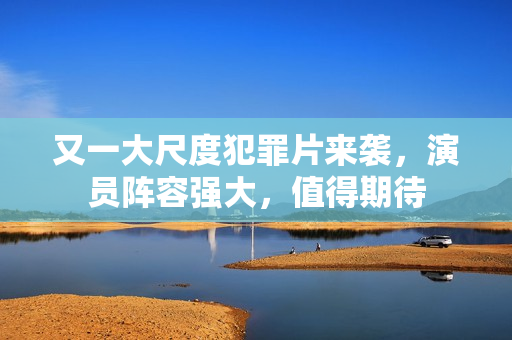 又一大尺度犯罪片来袭，演员阵容强大，值得期待