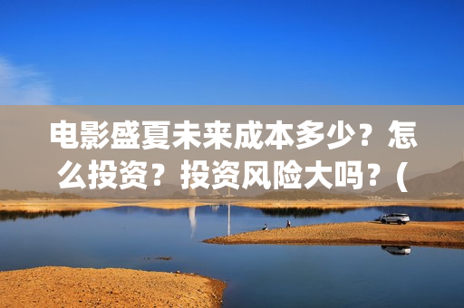 电影盛夏未来成本多少？怎么投资？投资风险大吗？(电影盛夏未来改编小说)