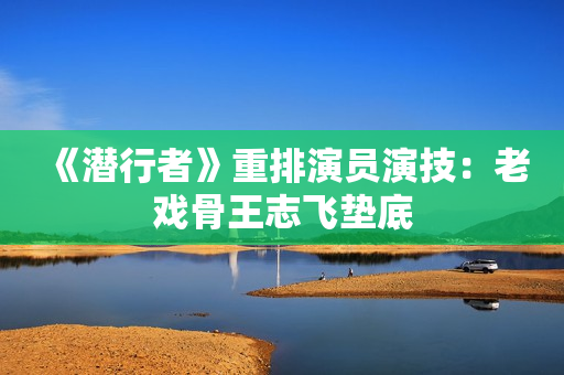 《潜行者》重排演员演技：老戏骨王志飞垫底