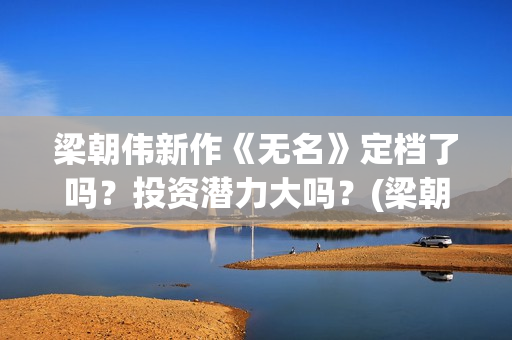 梁朝伟新作《无名》定档了吗？投资潜力大吗？(梁朝伟参演无名)