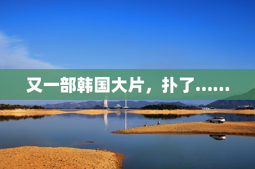 又一部韩国大片，扑了……