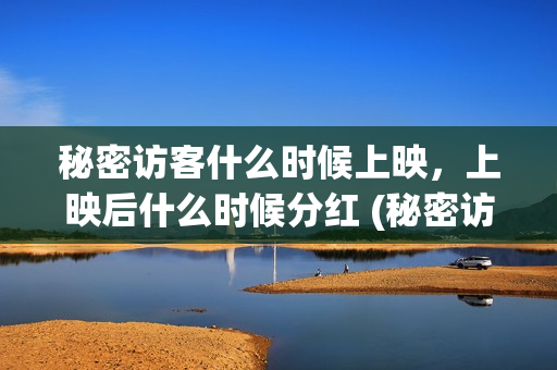 秘密访客什么时候上映，上映后什么时候分红 (秘密访客看懂)