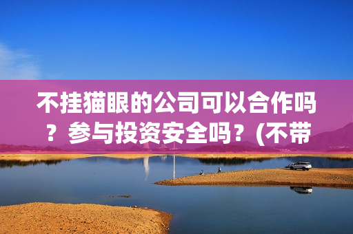 不挂猫眼的公司可以合作吗？参与投资安全吗？(不带猫眼的门才安全吗)