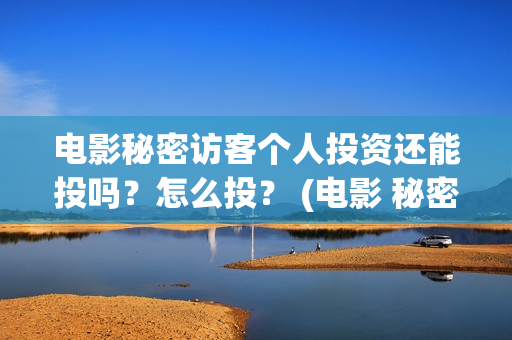 电影秘密访客个人投资还能投吗？怎么投？ (电影 秘密访客)