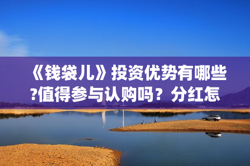 《钱袋儿》投资优势有哪些?值得参与认购吗？分红怎么计算？(钱袋子借款可靠吗)