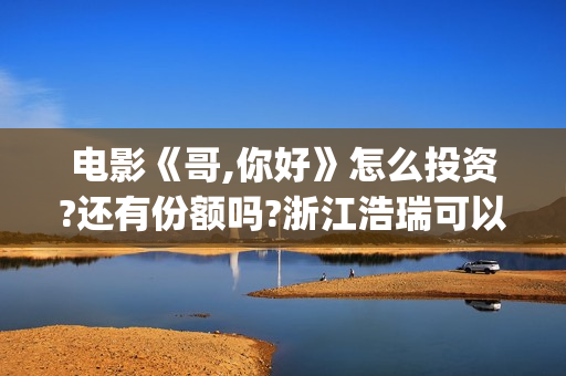 电影《哥,你好》怎么投资?还有份额吗?浙江浩瑞可以投吗？(电影《哥,你好》)