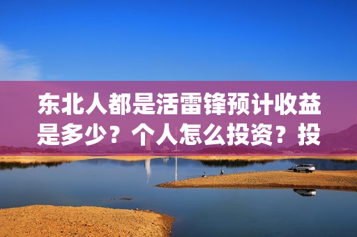 东北人都是活雷锋预计收益是多少？个人怎么投资？投资有保障吗？(东北人都是活雷锋动画版)