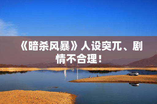 《暗杀风暴》人设突兀、剧情不合理！