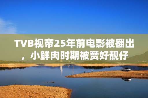 TVB视帝25年前电影被翻出，小鲜肉时期被赞好靓仔