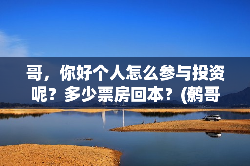 哥，你好个人怎么参与投资呢？多少票房回本？(鹩哥你好mp3)