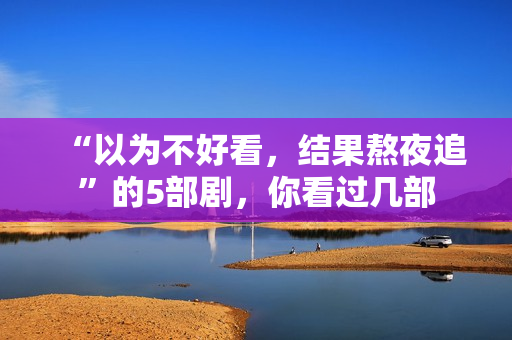 “以为不好看，结果熬夜追”的5部剧，你看过几部