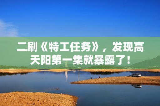 二刷《特工任务》，发现高天阳第一集就暴露了！