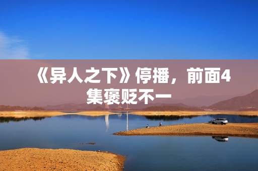 《异人之下》停播，前面4集褒贬不一