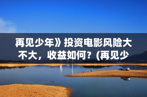 再见少年》投资电影风险大不大，收益如何？(再见少年个人投资真实吗)