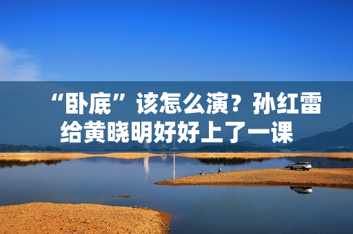 “卧底”该怎么演？孙红雷给黄晓明好好上了一课