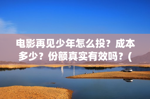 电影再见少年怎么投？成本多少？份额真实有效吗？(电影 再见少年)